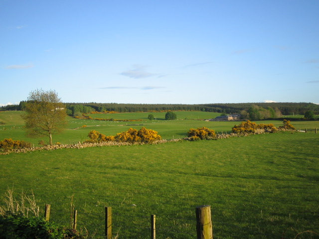 Auldearn - Conventicles – photo 2