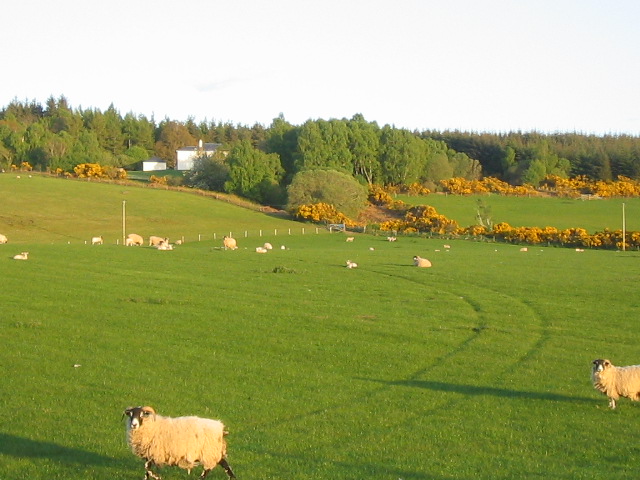 Auldearn - Conventicles – photo 3