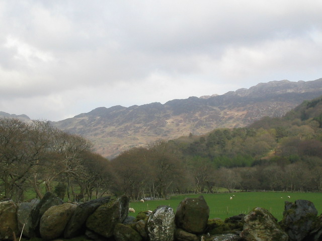 Hafod y Llan – photo 3